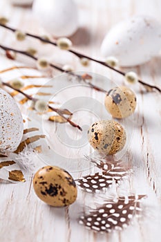 Easter eggs with feathers and pussy willow branch