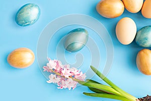 Easter eggs, flowers on blue background. Flat lay, top view, copy space. Easter day.