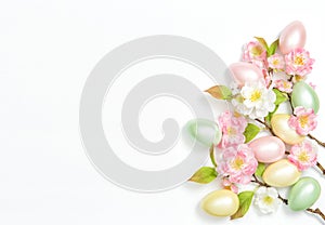 Easter eggs flowers decoration white background