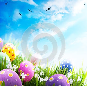 Easter eggs with flowers in grass on blue sky