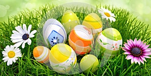 Easter eggs and flowers on grass