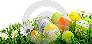 Easter eggs and flowers in grass, isolated