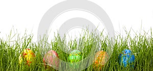 Easter eggs in fresh green grass
