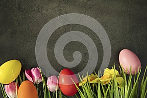 Easter eggs on fresh green grass against grey concrete background, colorful pink tulips and yellow daisies. Happy Easter