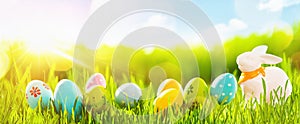 Easter Eggs With Fresh Green Grass and Sun