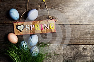 Easter Eggs on Fresh Green Grass on Wooden Background with Sunny