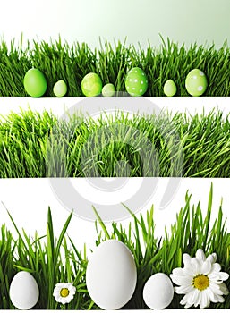 Easter eggs in grass