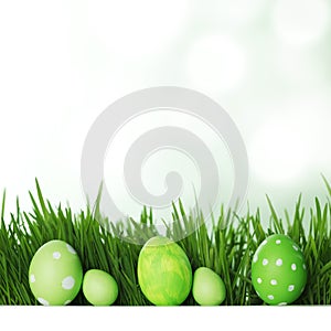 Easter eggs in grass