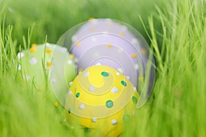 Easter eggs in grass