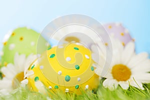 Easter eggs in grass