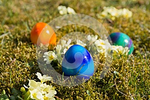 Easter eggs in the grass