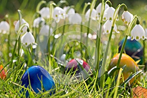 Easter eggs in the grass