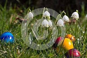 Easter eggs in the grass