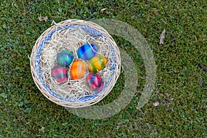 Easter eggs in the grass