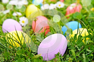 Easter eggs on the grass flower