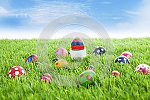 Easter eggs on grass horizontal