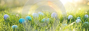Easter eggs in the grass on a sunny background