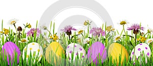 Easter eggs, grass and wild flowers border