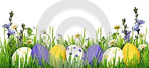 Easter eggs, grass and wild flowers border