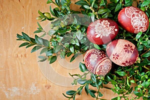 Easter eggs at green boxwood