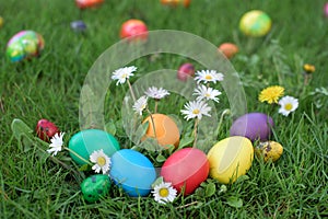 Easter eggs in a green grass