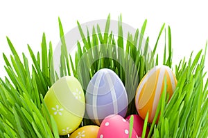 Easter eggs in green grass