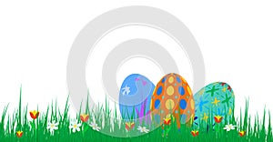 Easter eggs with green grass and flowers on white background