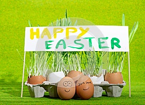 Easter eggs and green grass and poster