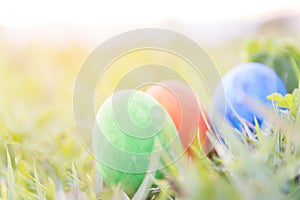 Easter eggs on green grass with sun light