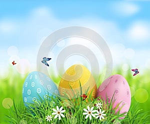 Easter eggs in green grass with white flowers, butterflies
