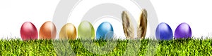 Easter eggs in a green meadow banner