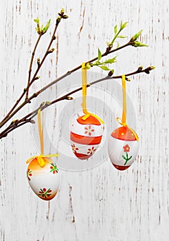 Easter eggs hanging on a branch