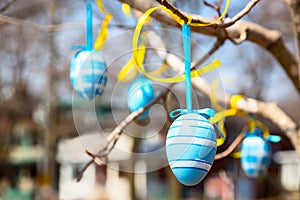 Easter Eggs Hanging on a Tree