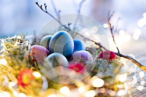 Easter eggs in a herb nest