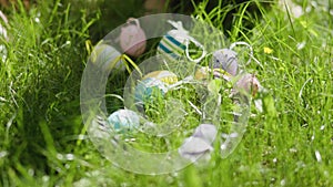 Easter eggs hidden in green grass ready for Easter egg hunt game child's hands