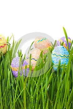 Easter eggs hiding in the grass