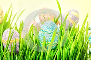 Easter eggs hiding in the grass