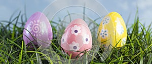 Easter Eggs Hiding in the Grass on a Beautiful Spring Day