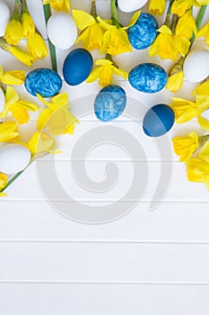 Easter eggs hiding in the grass with daffodil