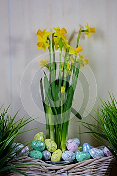 Easter eggs hiding in the grass with daffodil on wood background.