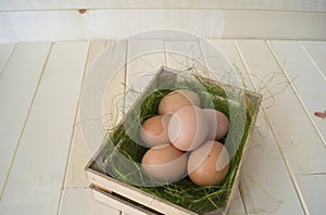 Easter. Eggs lie in the container for eggs. Green grass.