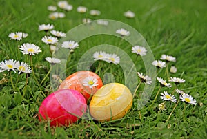 Easter eggs on a meadow