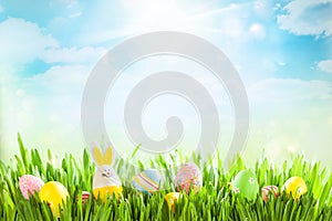 Easter eggs on meadow. Easter concept