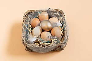 Easter eggs natural and gold in basket with feather. Branch of willow catkins. Light pastel orange background with copy
