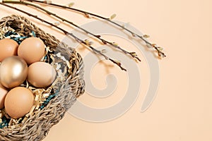 Easter eggs natural and gold in basket with gold and green paper filler . Branch of willow catkins. Light pastel orange