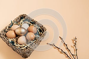 Easter eggs natural and gold in basket with paper filler . Branch of willow catkinsan. Light pastel orange background