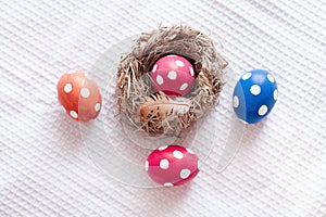 Easter eggs near birds nest on checkered white background