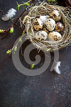 Easter Eggs in Nest