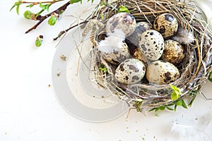 Easter Eggs in Nest