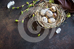 Easter Eggs in Nest